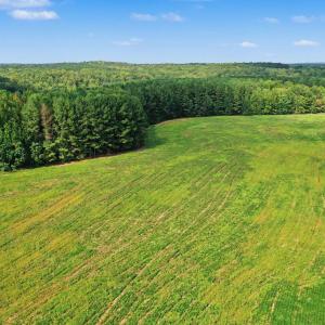 Photo #22 of 6056 Hobgood, Rougemont, NC 300.0 acres