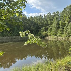 Photo #10 of 6056 Hobgood, Rougemont, NC 300.0 acres