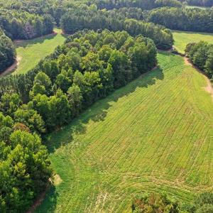 Photo #29 of 6056 Hobgood, Rougemont, NC 300.0 acres