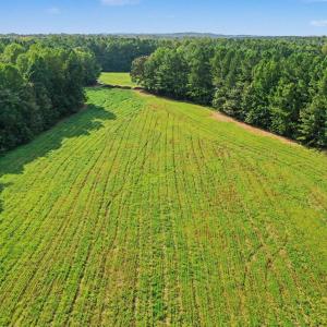 Photo #25 of 6056 Hobgood, Rougemont, NC 300.0 acres