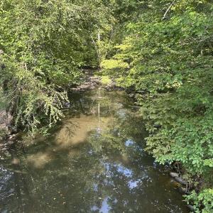Photo #13 of 6056 Hobgood, Rougemont, NC 300.0 acres