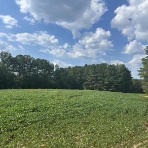 Photo #2 of 6056 Hobgood, Rougemont, NC 300.0 acres