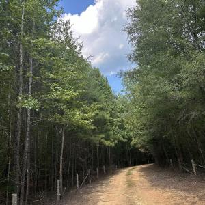 Photo #5 of 6056 Hobgood, Rougemont, NC 300.0 acres