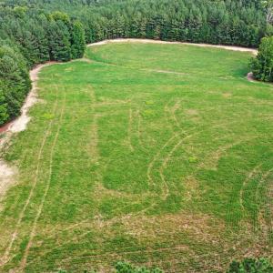 Photo #28 of 6056 Hobgood, Rougemont, NC 300.0 acres