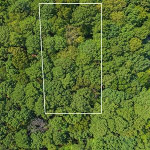 Photo #2 of 116 Oak Run, Clarksville, VA 0.6 acres