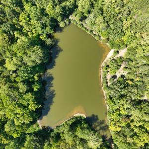 Photo #8 of Park Springs, Ruffin, NC 26.4 acres