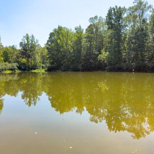 Photo #2 of Park Springs, Ruffin, NC 26.4 acres