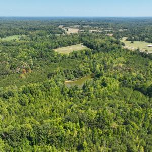 Photo #21 of Park Springs, Ruffin, NC 26.4 acres