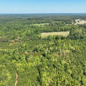 Photo #47 of Park Springs, Ruffin, NC 26.4 acres