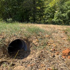 Photo #22 of Park Springs, Ruffin, NC 26.4 acres
