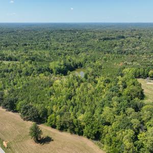 Photo #33 of Park Springs, Ruffin, NC 26.4 acres