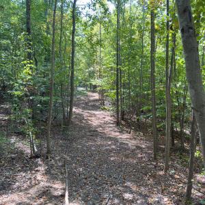 Photo #10 of Park Springs, Ruffin, NC 26.4 acres
