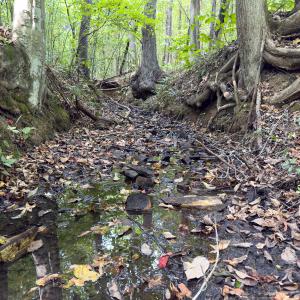 Photo #19 of Park Springs, Ruffin, NC 26.4 acres