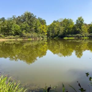 Photo #44 of Park Springs, Ruffin, NC 26.4 acres