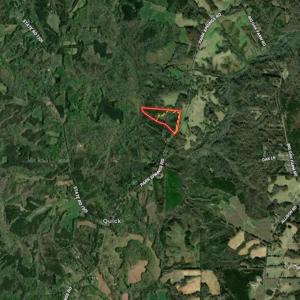 Photo #53 of Park Springs, Ruffin, NC 26.4 acres