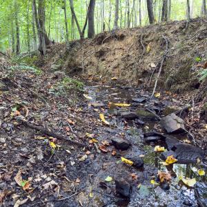 Photo #39 of Park Springs, Ruffin, NC 26.4 acres