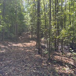 Photo #45 of Park Springs, Ruffin, NC 26.4 acres