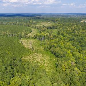 Photo #9 of Nc-43, Macon, NC 52.7 acres