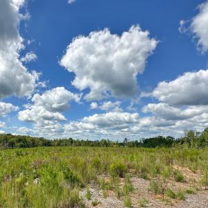 Photo #4 of Nc-43, Macon, NC 52.7 acres