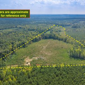 Photo #10 of Nc-43, Macon, NC 52.7 acres