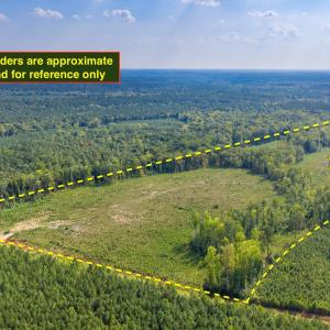 Photo #1 of Nc-43, Macon, NC 52.7 acres