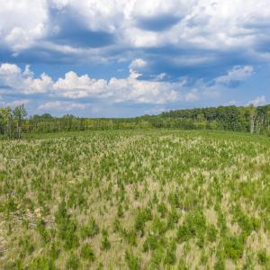 Photo #6 of Nc-43, Macon, NC 52.7 acres