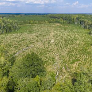 Photo #7 of Nc-43, Macon, NC 52.7 acres
