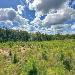 Photo #5 of Nc-43, Macon, NC 52.7 acres
