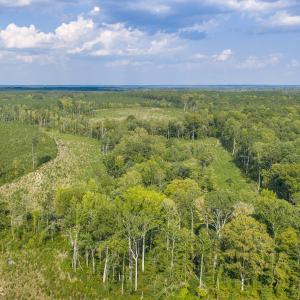Photo #8 of Nc-43, Macon, NC 52.7 acres