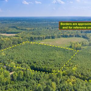 Photo #7 of Nc-43, Macon, NC 18.3 acres
