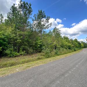 Photo #5 of Nc-43, Macon, NC 18.3 acres