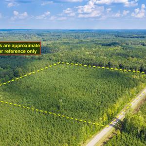 Photo #2 of Nc-43, Macon, NC 18.3 acres