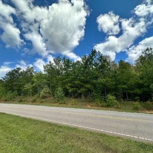 Photo #3 of Nc-43, Macon, NC 18.3 acres