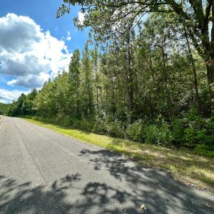 Photo #4 of Nc-43, Macon, NC 18.3 acres