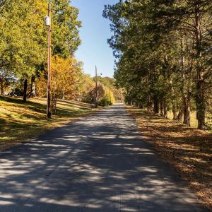 Photo #7 of Bob Vaughn, Graham, NC 9.3 acres