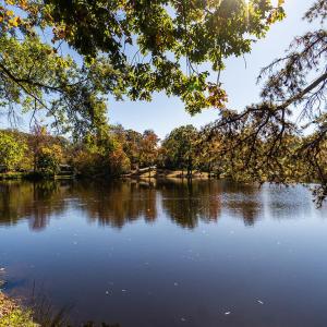 Photo #2 of Bob Vaughn, Graham, NC 9.3 acres