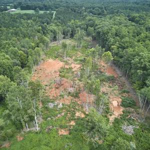 Photo #8 of Beal, Robbins, NC 59.0 acres
