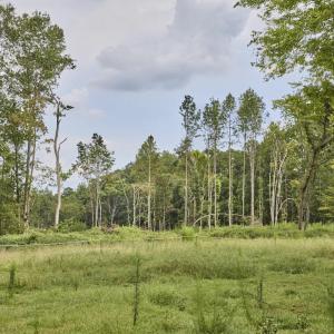 Photo #1 of Beal, Robbins, NC 59.0 acres