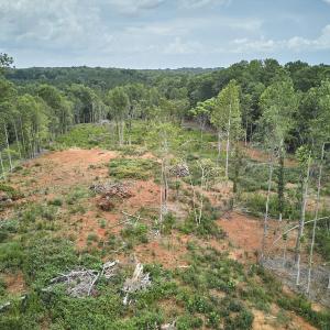 Photo #10 of Beal, Robbins, NC 59.0 acres