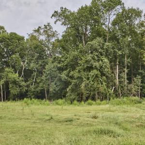 Photo #2 of Beal, Robbins, NC 59.0 acres