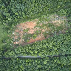Photo #5 of Beal, Robbins, NC 59.0 acres
