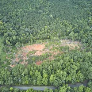 Photo #6 of Beal, Robbins, NC 59.0 acres