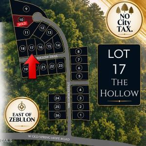 Photo #1 of Lot 17 Fern Hollow Trail, Spring Hope, NC 0.8 acres