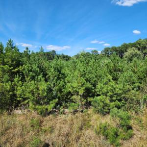 Photo #1 of Ten Ten, Apex, NC 8.6 acres
