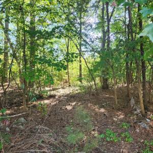 Photo #2 of Ten Ten, Apex, NC 8.6 acres