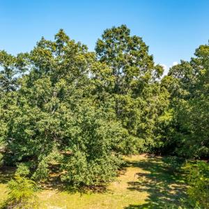 Photo #12 of 4814 Dodsons, Hillsborough, NC 1.0 acres