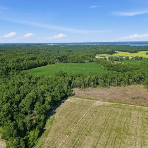 Photo #5 of Swansboro Loop, Swansboro, NC 43.0 acres