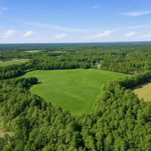 Photo #8 of Swansboro Loop, Swansboro, NC 43.0 acres