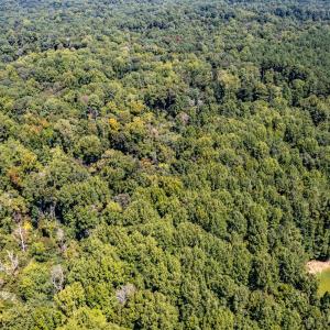 Photo #13 of 873 Six Mile, Chapel Hill, NC 10.0 acres
