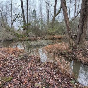 Photo #18 of 873 Six Mile, Chapel Hill, NC 10.0 acres